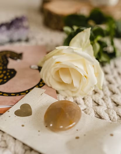 3-TÄGIGES FRAUEN-PSILOCYBIN-RETREAT IN DEN NIEDERLANDEN