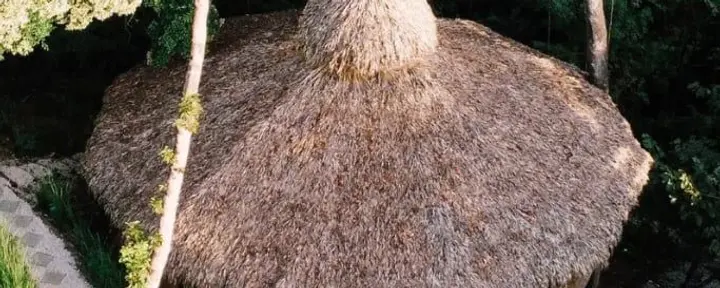 Huachuma (San Pedro)-Immersionen