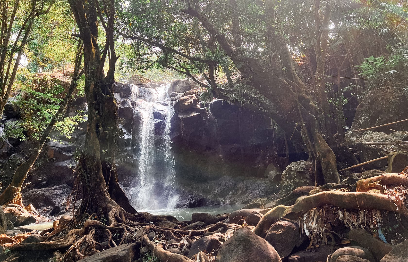4 Tage Luxuriöses tropischer Regenwald-, Yoga- und Wellness-Retreat in Bali