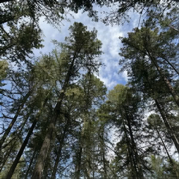 Ein-Tages-Personal-Retreat