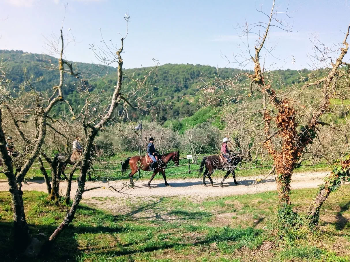 Yoga, Wandern, Fitness + Reiten
