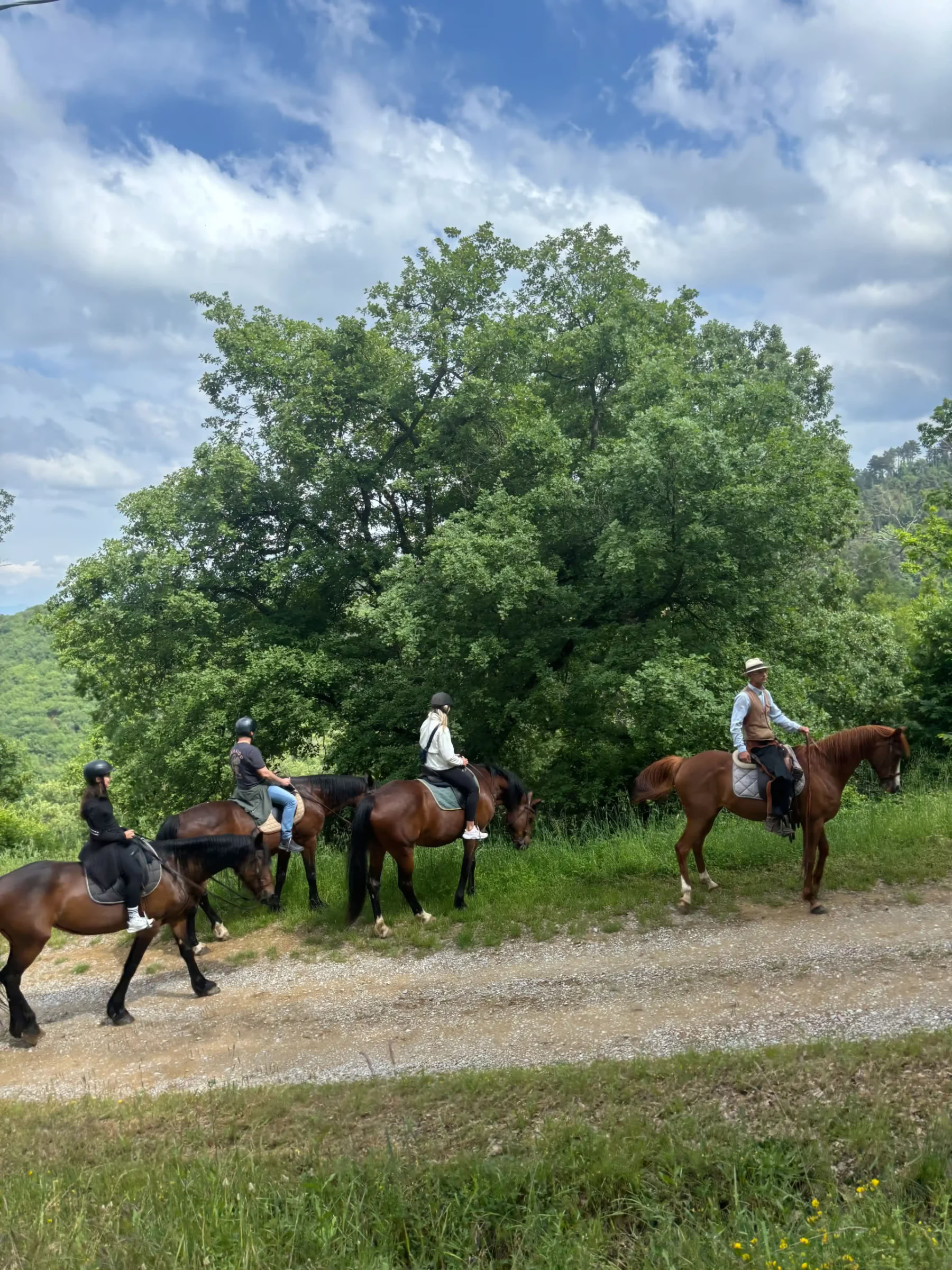 Yoga, Wandern, Fitness + Reiten