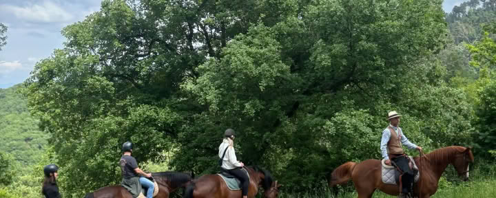 Yoga, Wandern, Fitness + Reiten