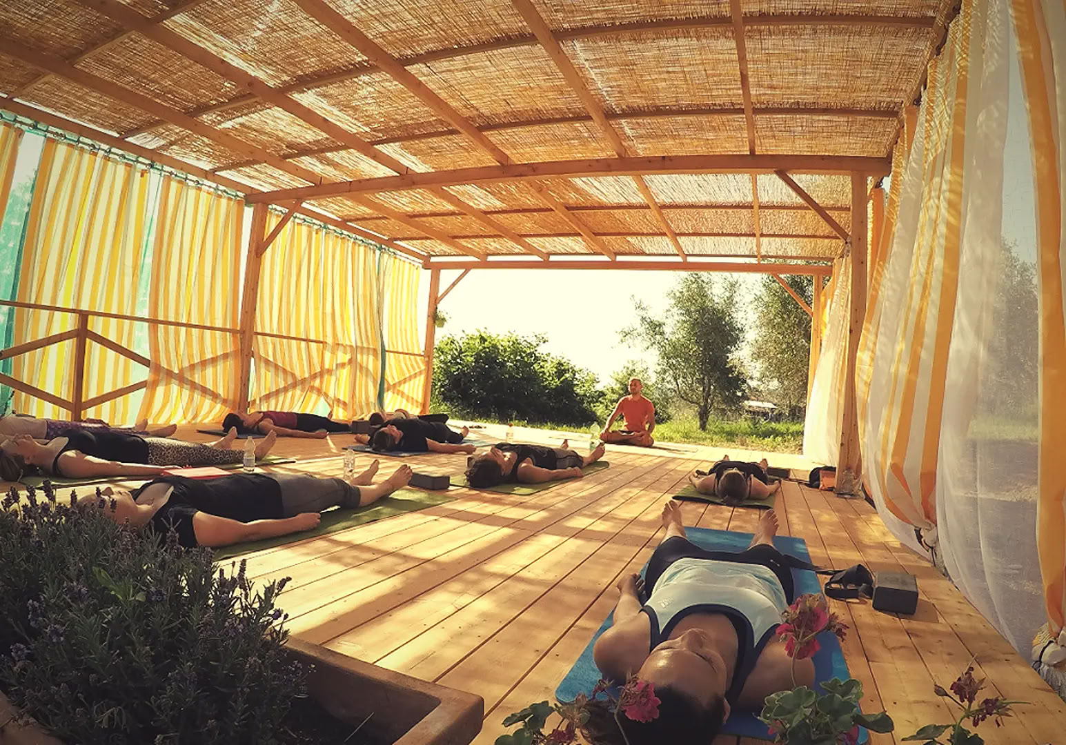 Yoga & Fitness