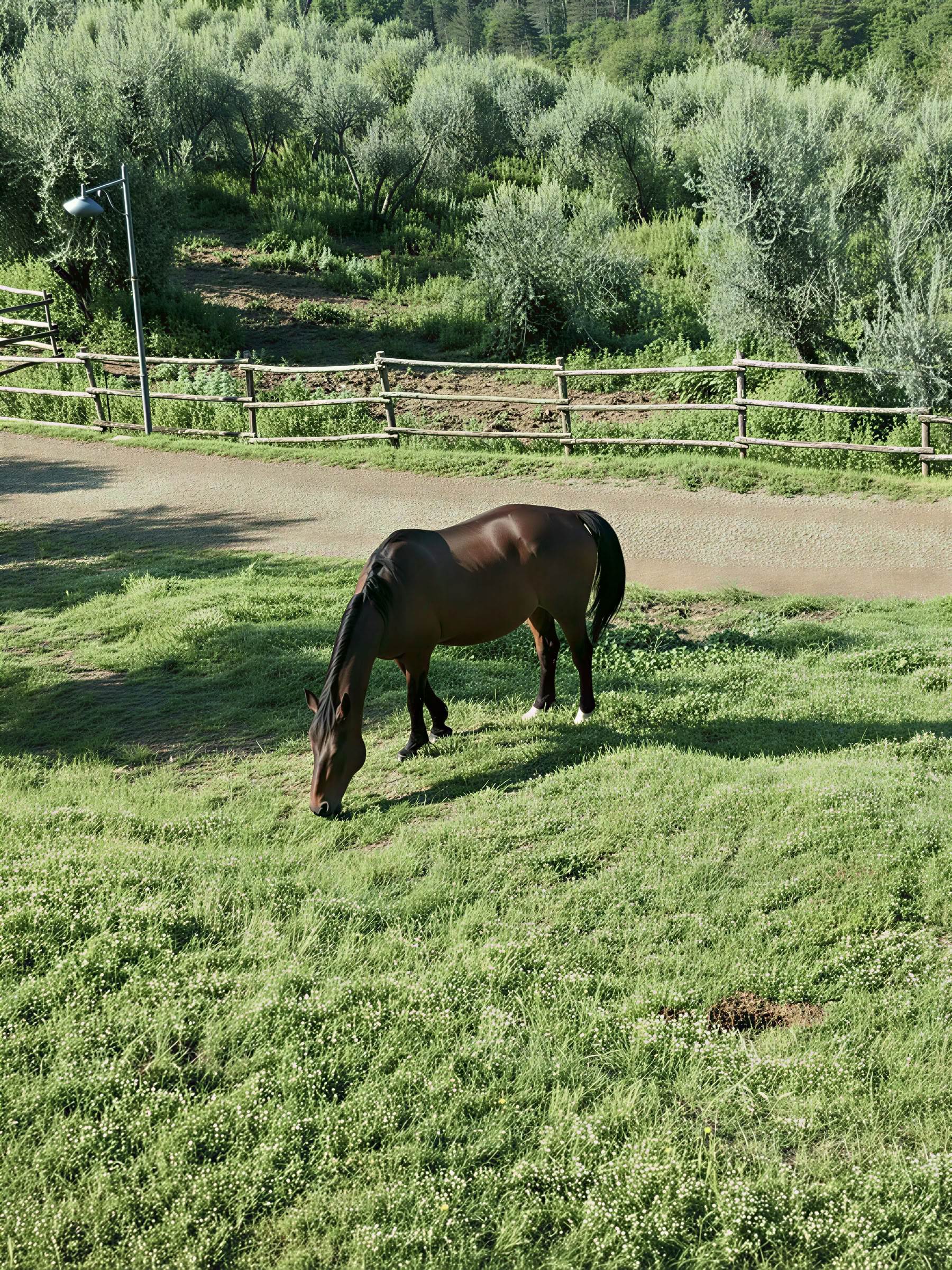 Yoga, Wandern und Reiten