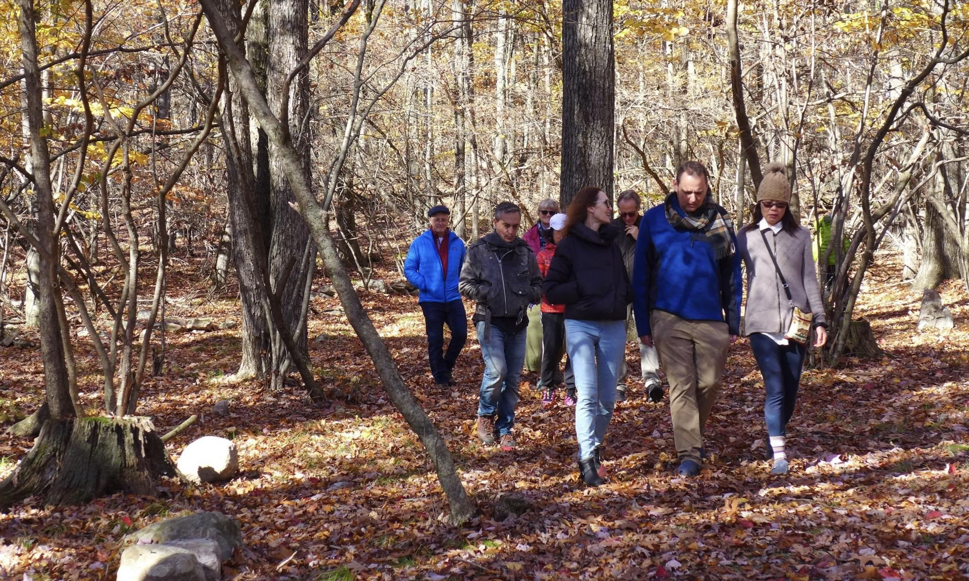 Herbstliches Erwachen Yoga-Retreat
