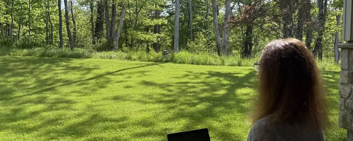 Bevorstehende Programme von John Henderson – Die Kraft der Stille: Ein stilles Retreat für Körper, Geist und Seele