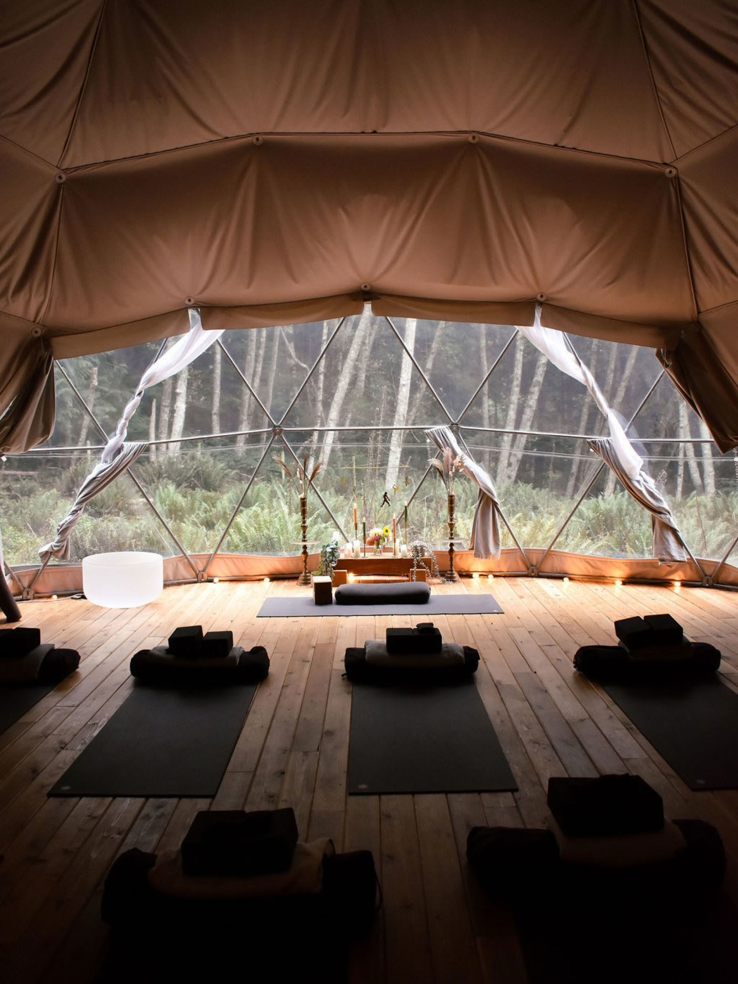 Breathwork & Pranayama Lehrer*innenausbildung mit Carolyn Anne Budgell + Nectar Yoga — Nectar Yoga