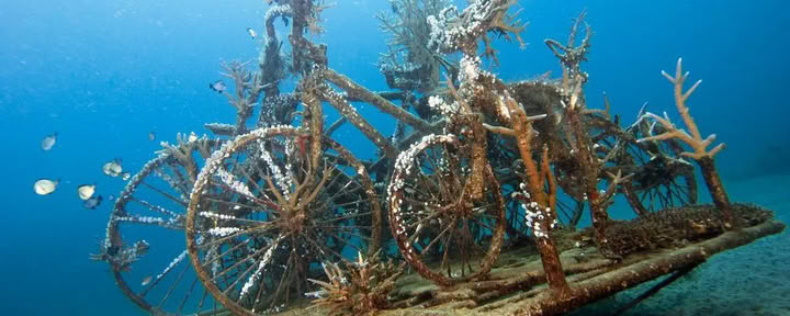 Einführungstauchgang im Lovina Reef 2 Tauchgänge