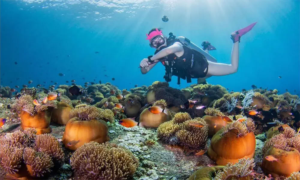 Menjangan Island - Fun-Tauchtour