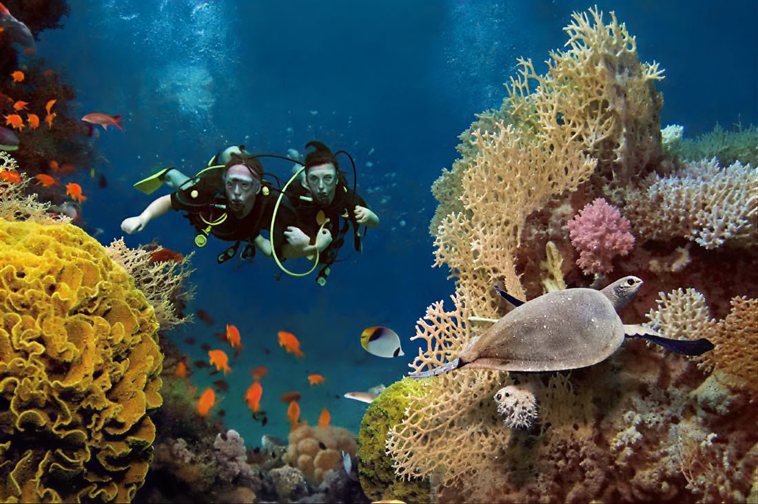 Menjangan Island - Fun-Tauchtour