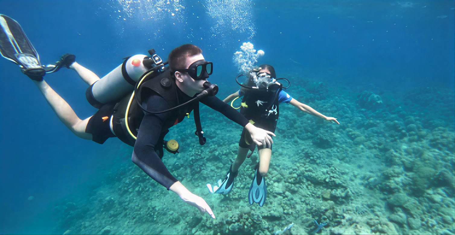 Menjangan Island - Fun-Tauchtour