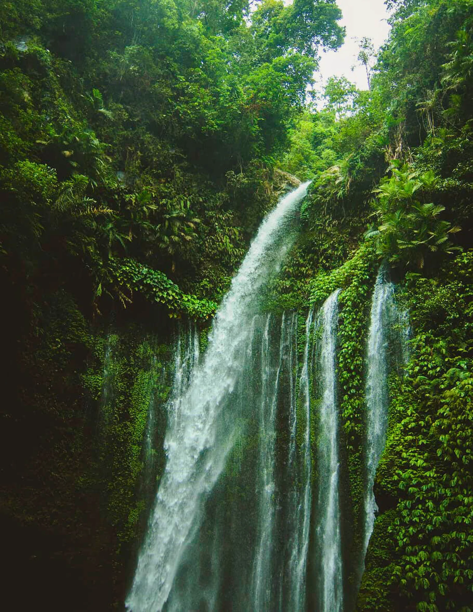 ZEN TREKKING UND WASSERFALLENTDECKUNG