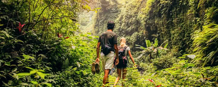 ZEN TREKKING UND WASSERFALLENTDECKUNG