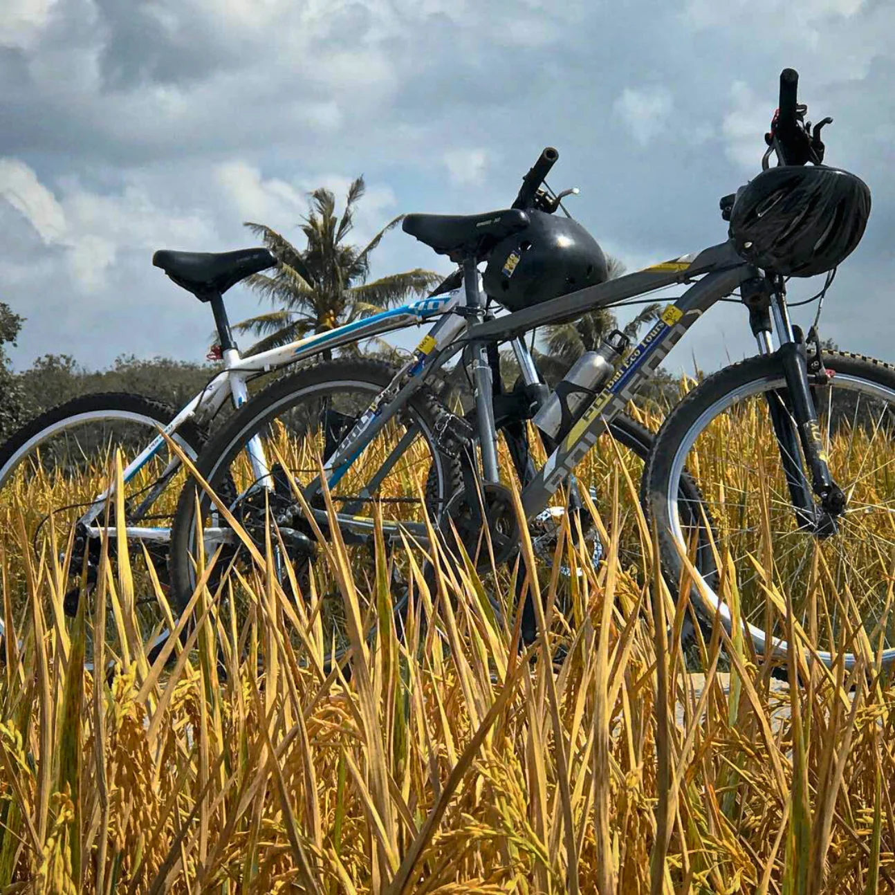 KULTURELLE RADTOUR- AUSZEIT
