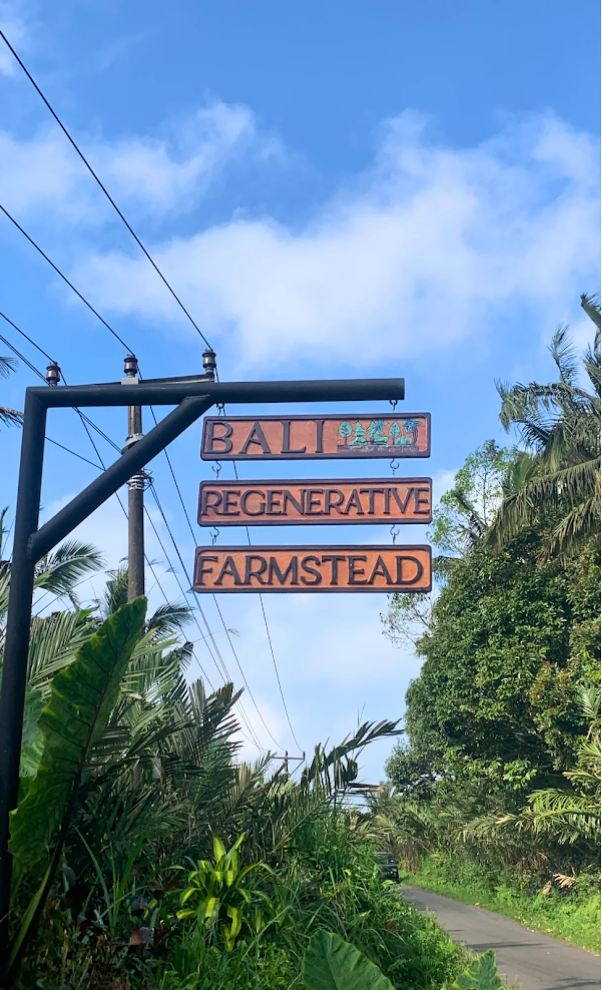 UBUD STORY WALKS