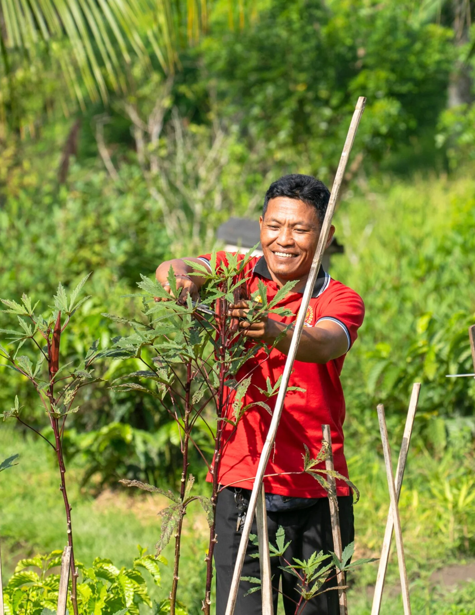 BEGAWAN FARM-TO-TABLE-ERLEBNIS