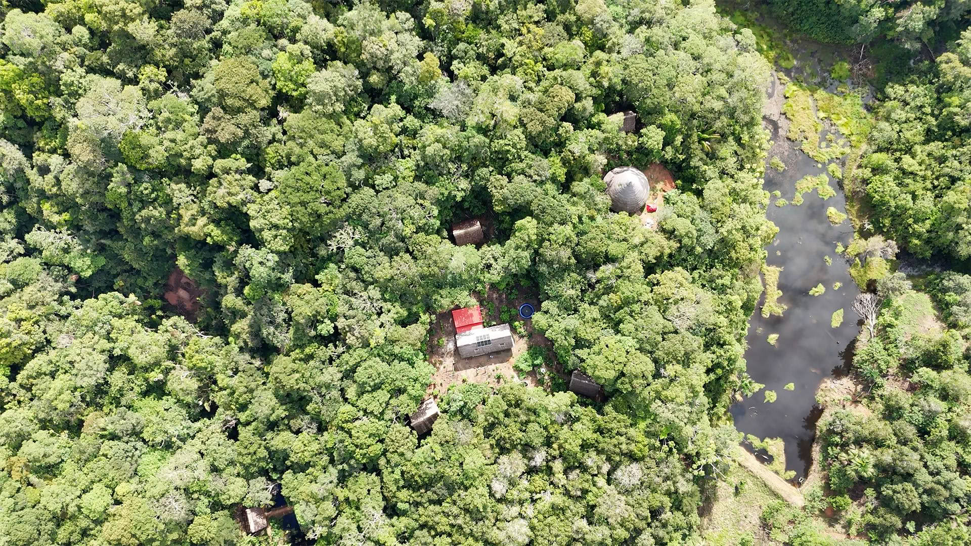 Offenes Ayahuasca-Retreat in Psychonauta Tribe