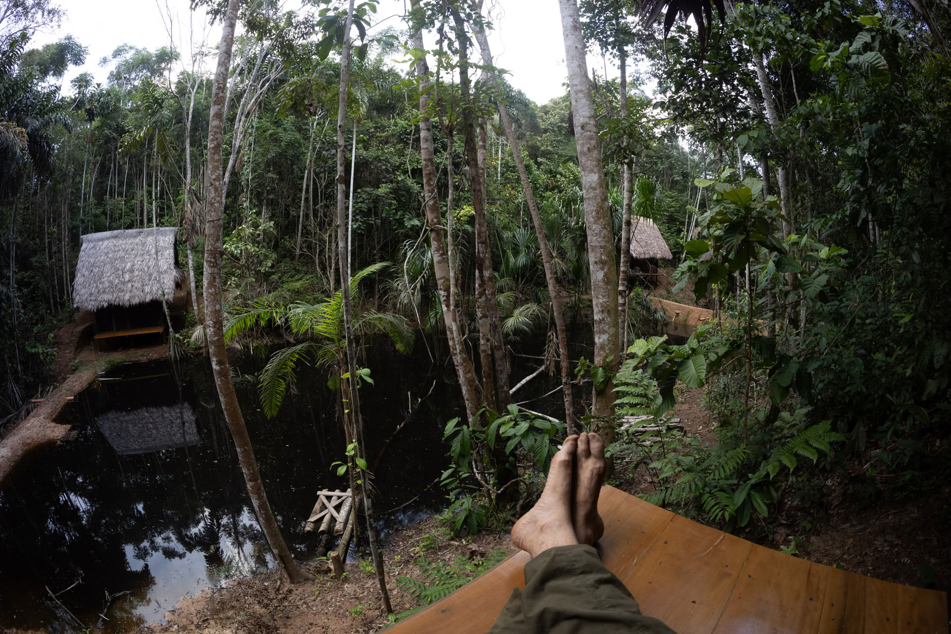 Offenes Ayahuasca-Retreat in Psychonauta Tribe