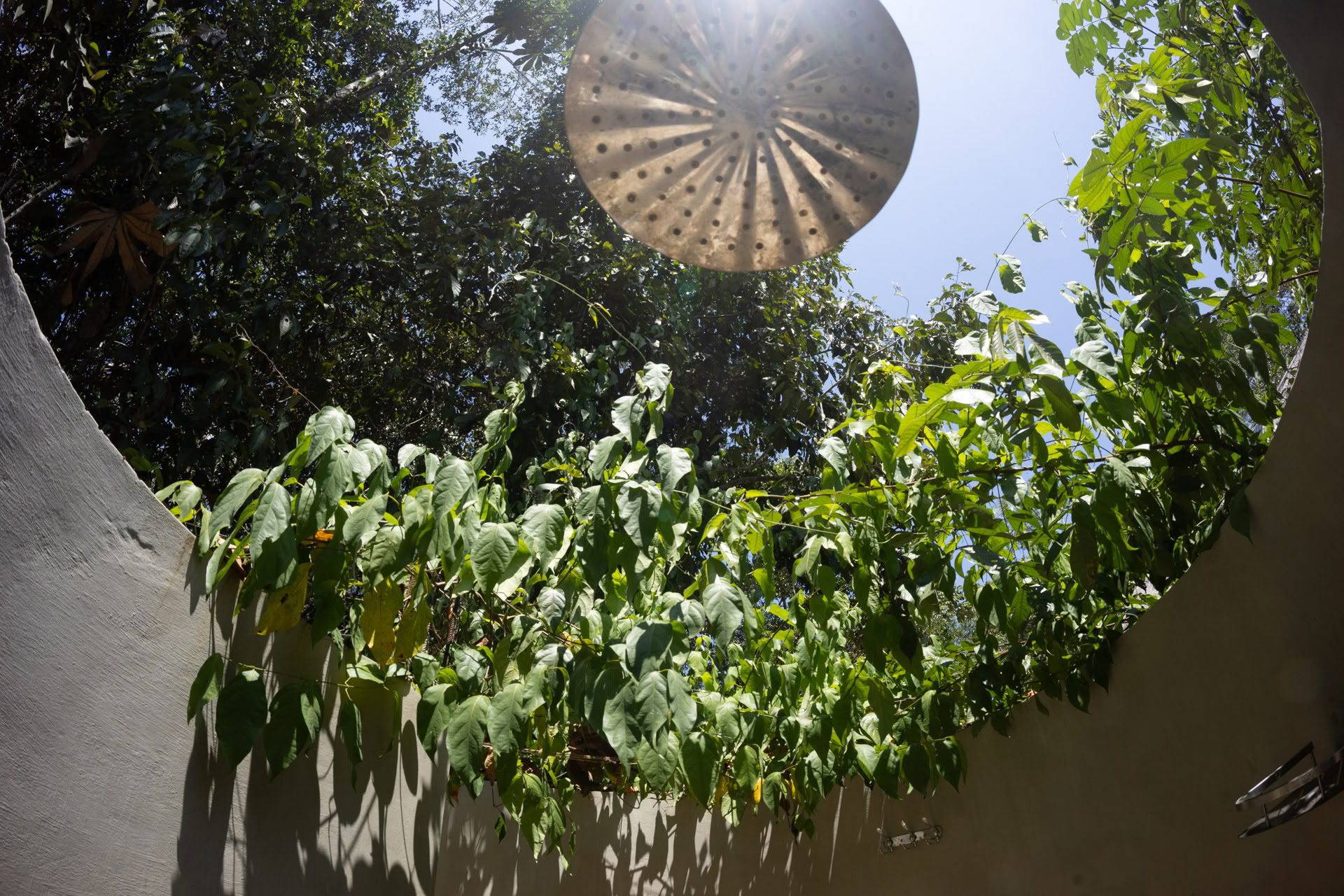 Offenes Ayahuasca-Retreat in Psychonauta Tribe