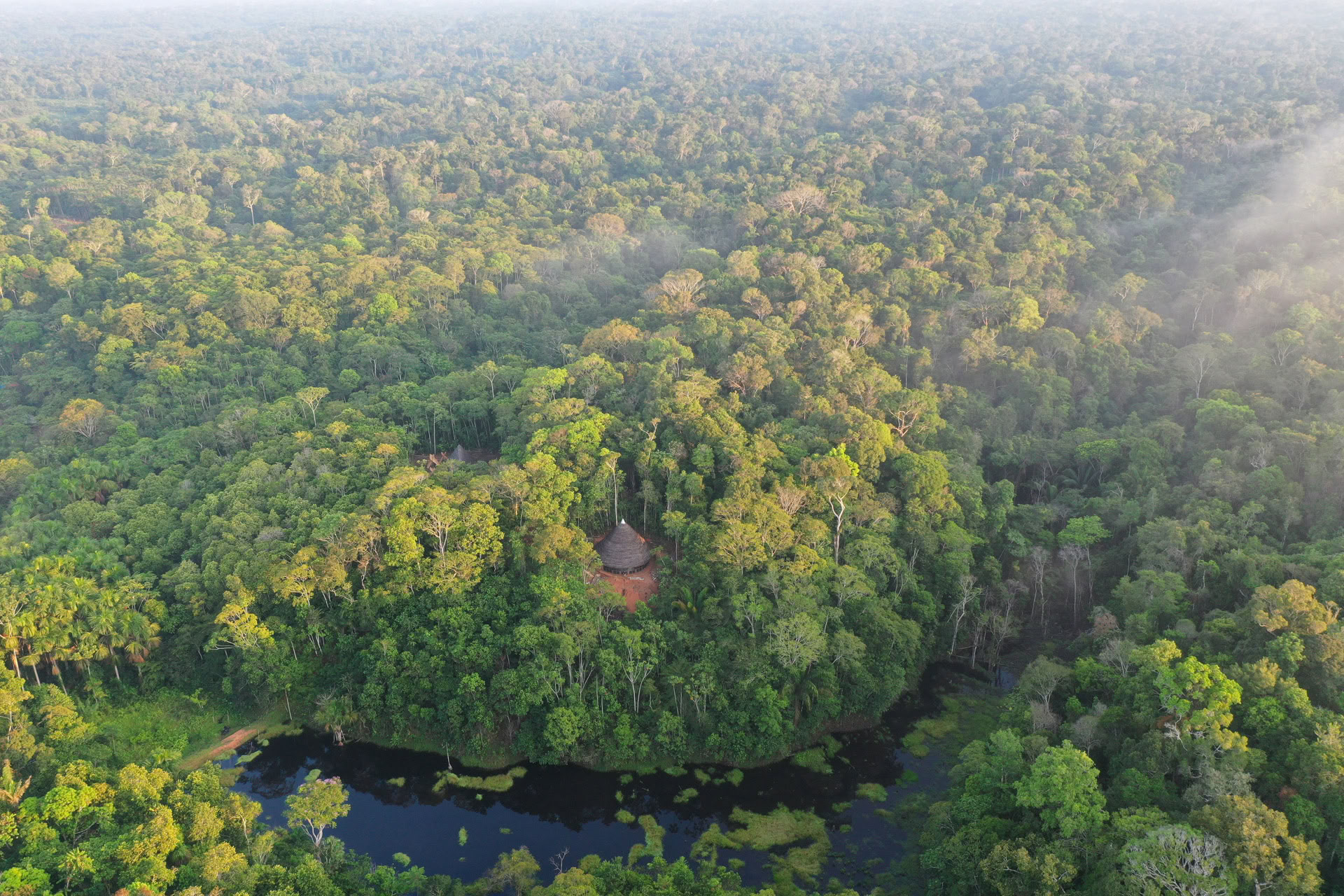 Offenes Ayahuasca-Retreat
