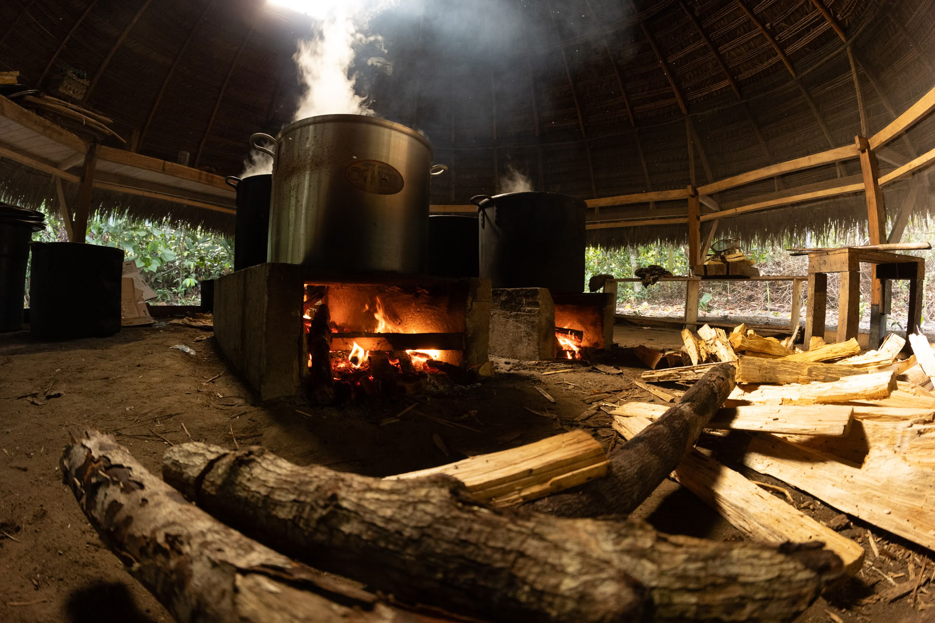 Offenes Ayahuasca-Retreat