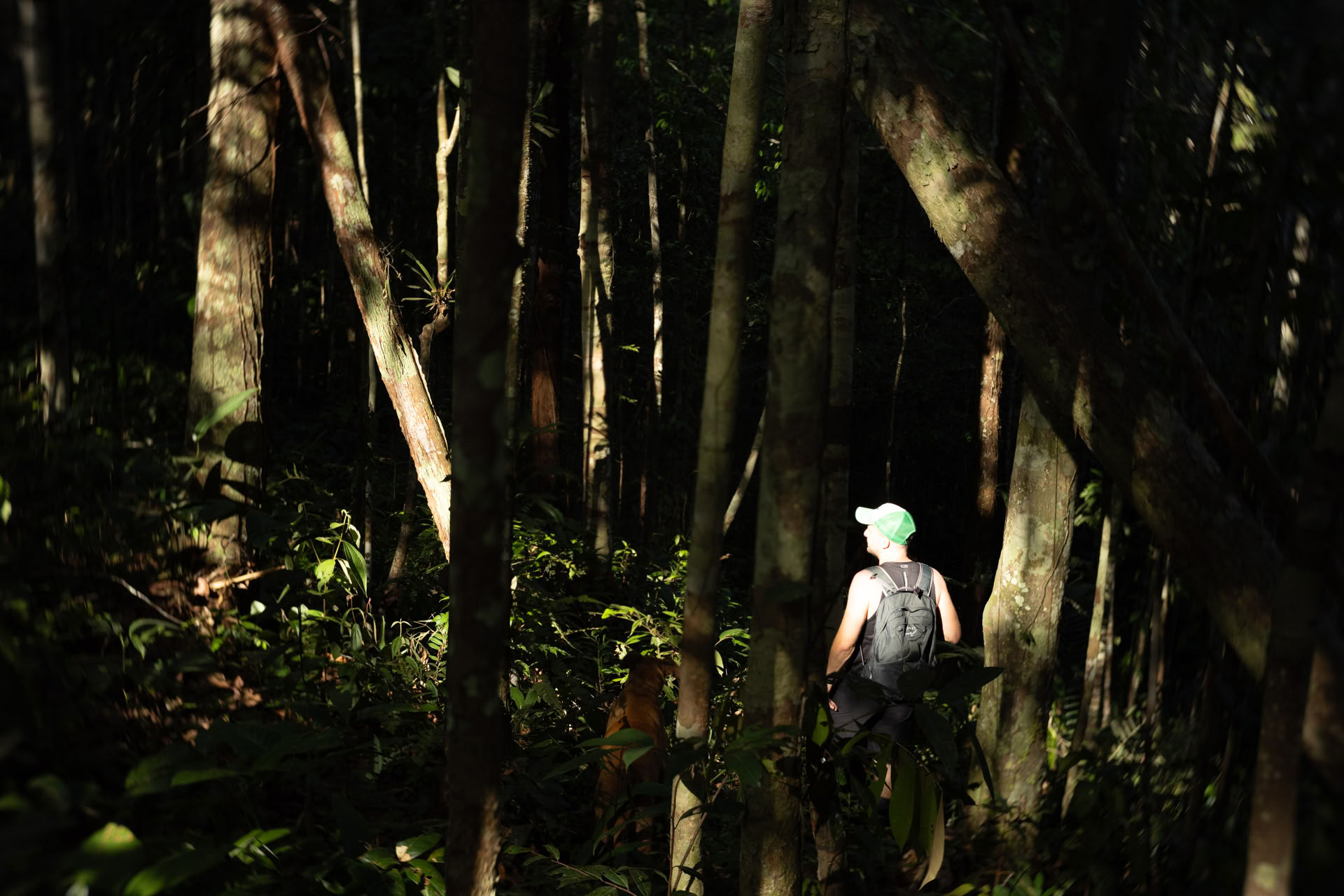 Offenes Ayahuasca-Retreat