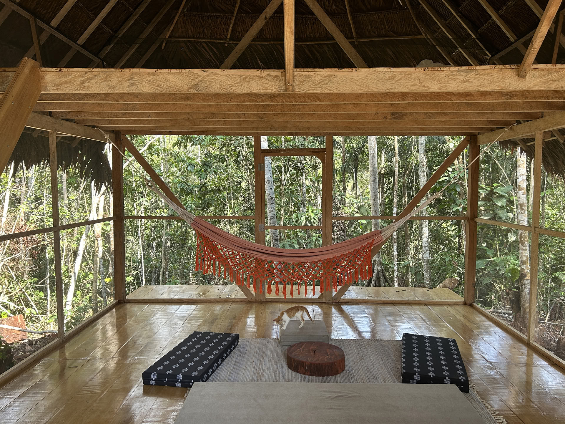 Offenes Ayahuasca-Retreat