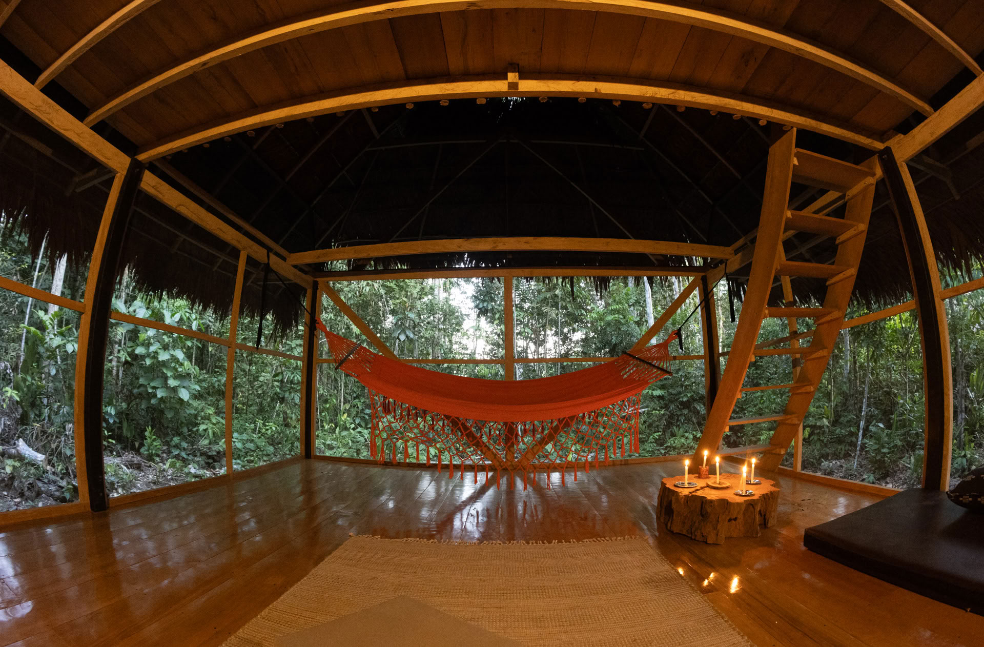 Offenes Ayahuasca-Retreat