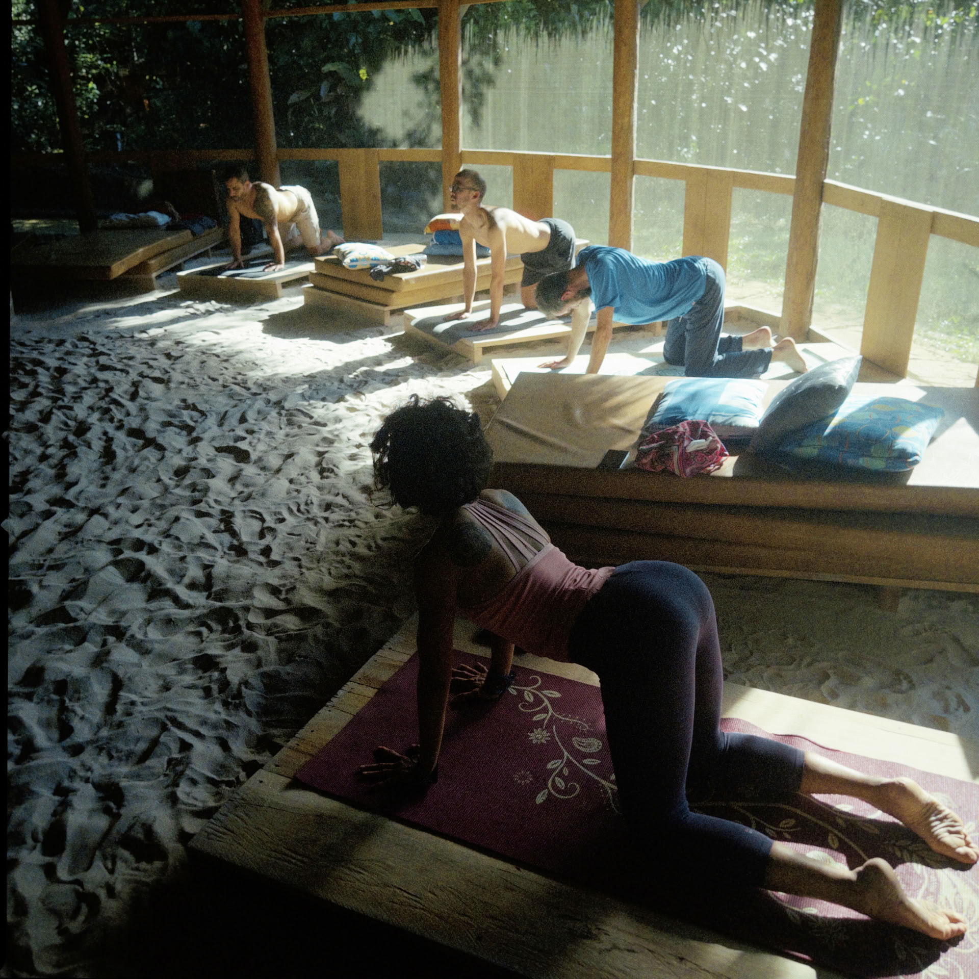 Offenes Ayahuasca-Retreat