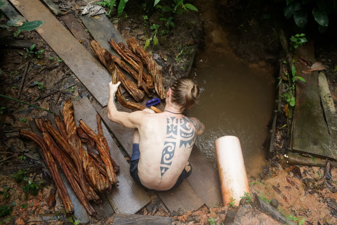 Ayahuasca-Retreat & Meisterpflanzen-Diät in Peru