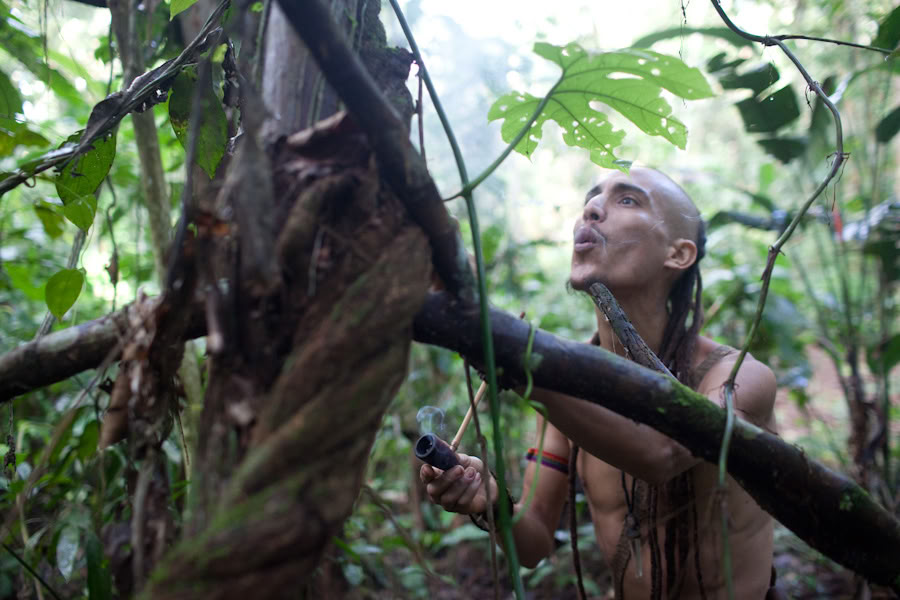Ayahuasca-Retreat & Meisterpflanzen-Diät in Peru