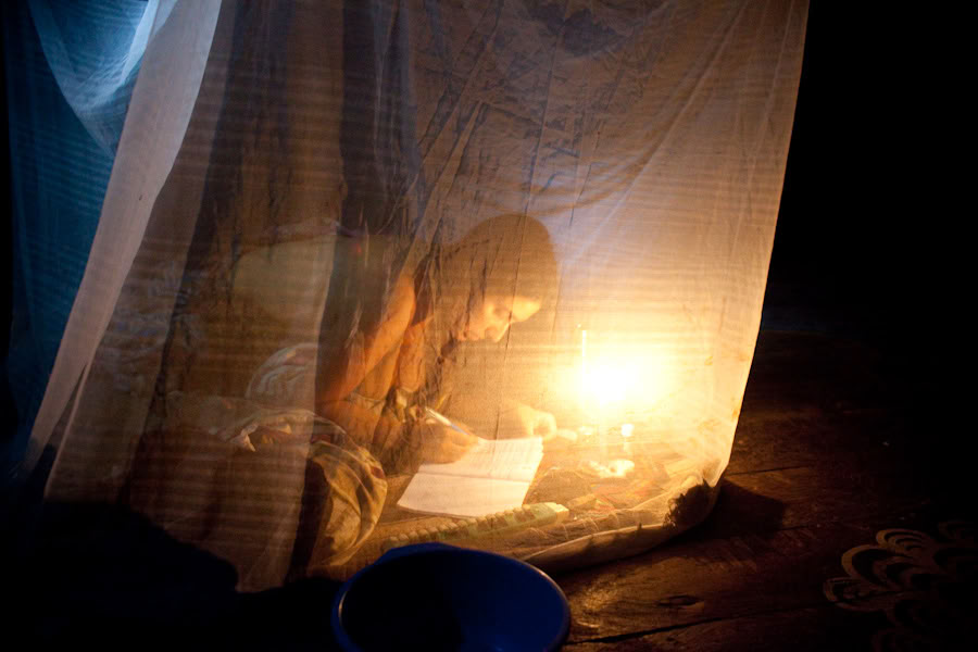 Ayahuasca-Retreat & Meisterpflanzen-Diät in Peru