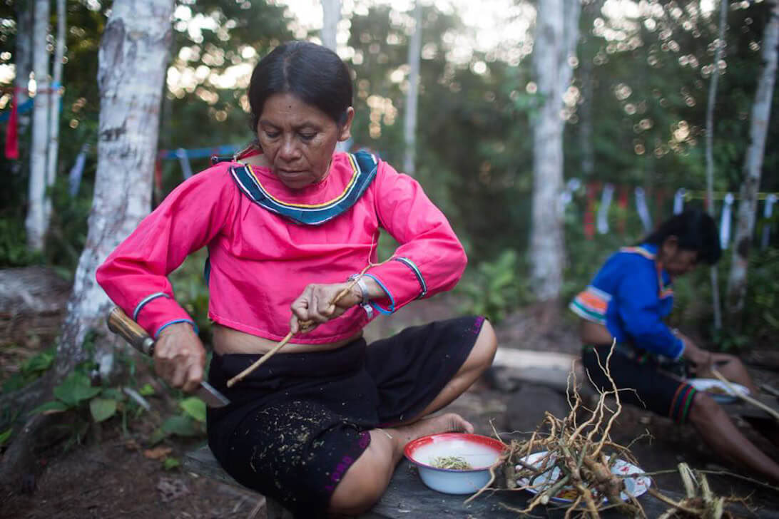 Ayahuasca-Retreat & Meisterpflanzen-Diät in Peru