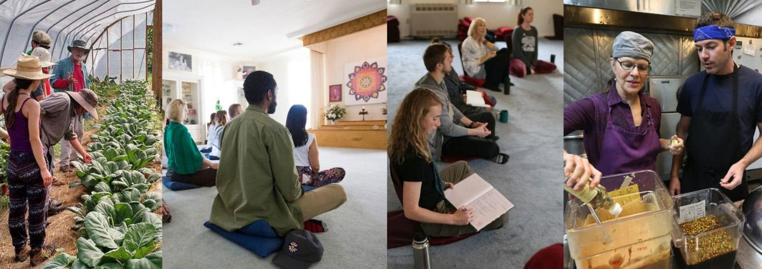 Living Yoga Training (LYT) – 19. Okt. - 15. Nov.