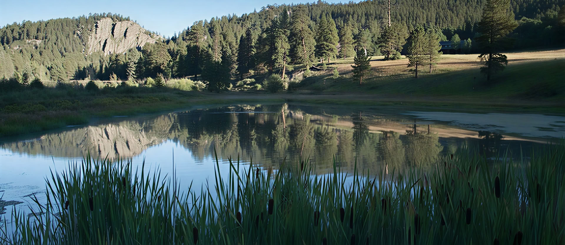 Meditation, Natur und Erwachen