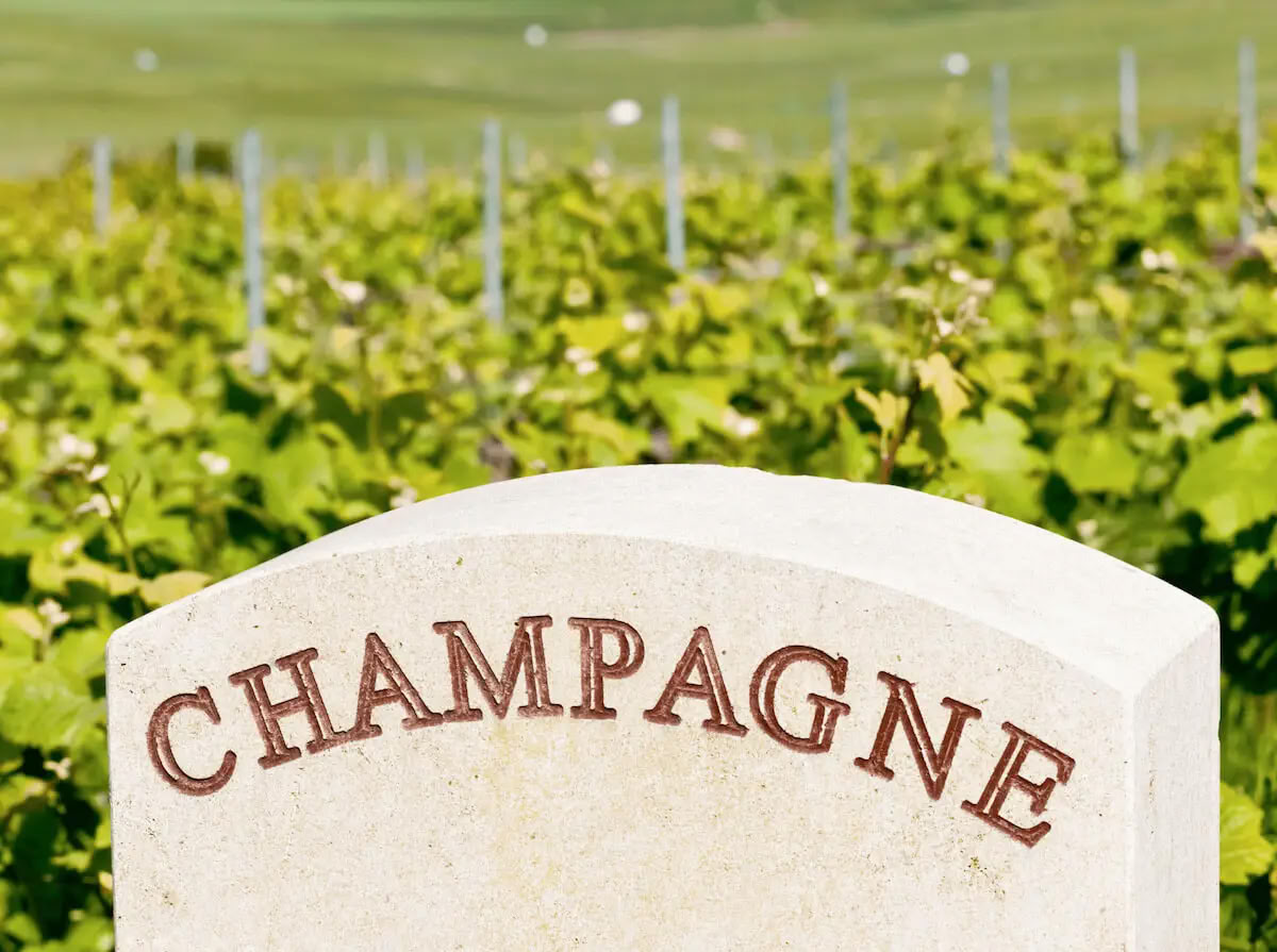 Champagner & Seele: Frauen-Yoga + Champagner-Retreat (Reims, Frankreich)