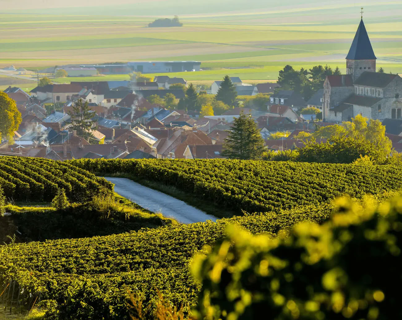 Champagner & Seele: Frauen-Yoga + Champagner-Retreat (Reims, Frankreich)