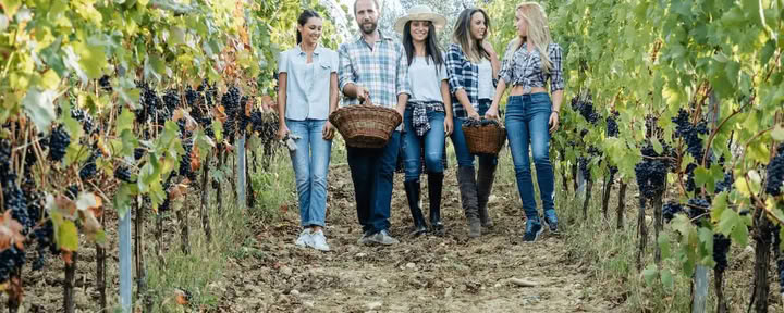 Champagner & Seele: Frauen-Yoga + Champagner-Retreat (Reims, Frankreich)