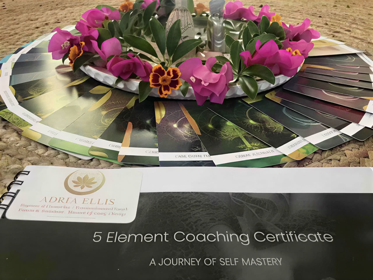 5 Elemente Coaching-Zertifikat