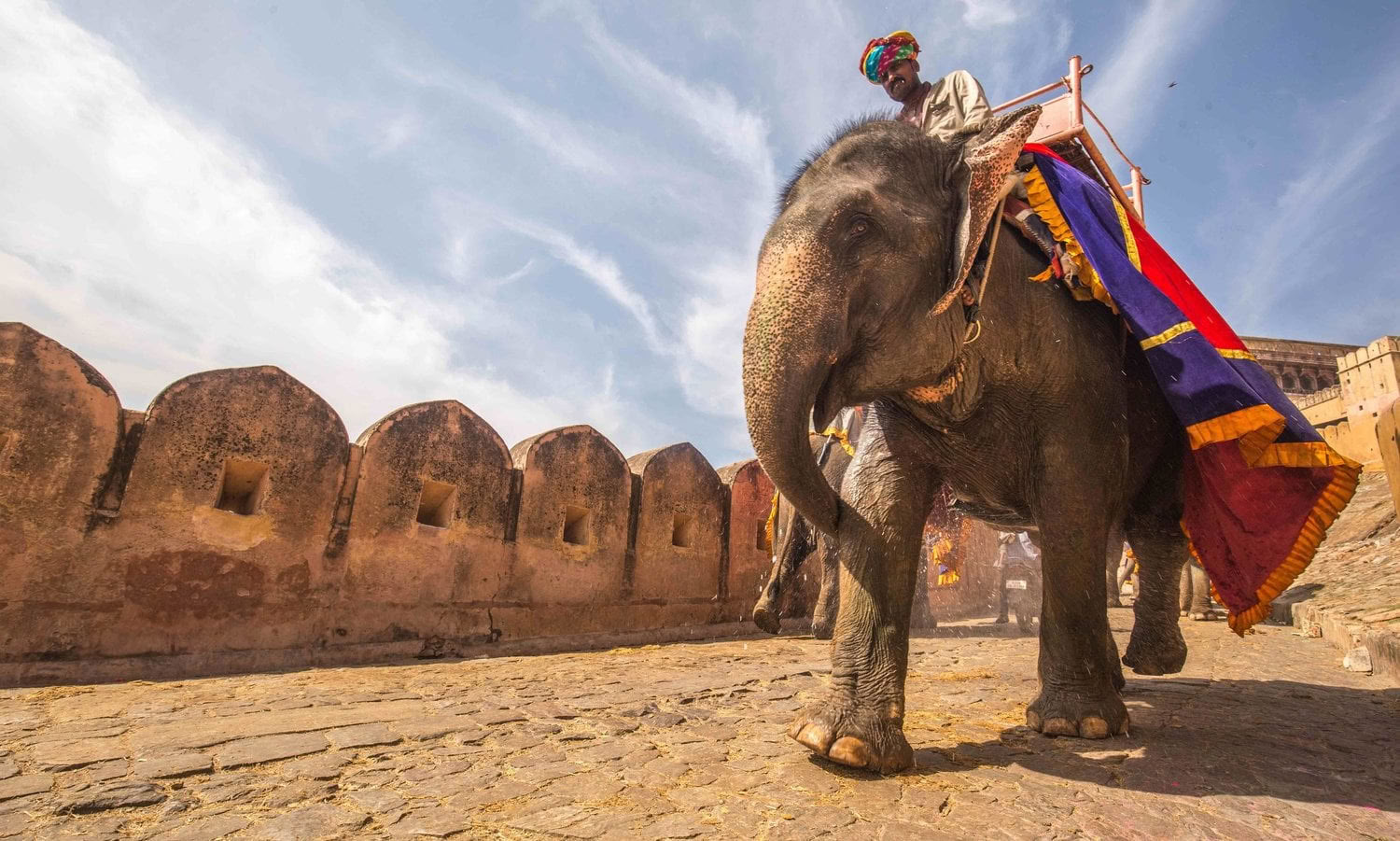 'Spirit of the Himalayas' Tour + Holi-Festival in Indien