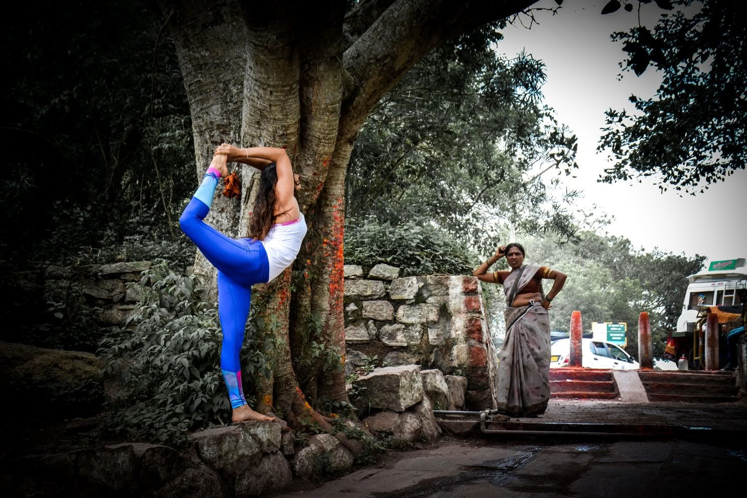 'Spirit of the Himalayas' Tour + Holi-Festival in Indien