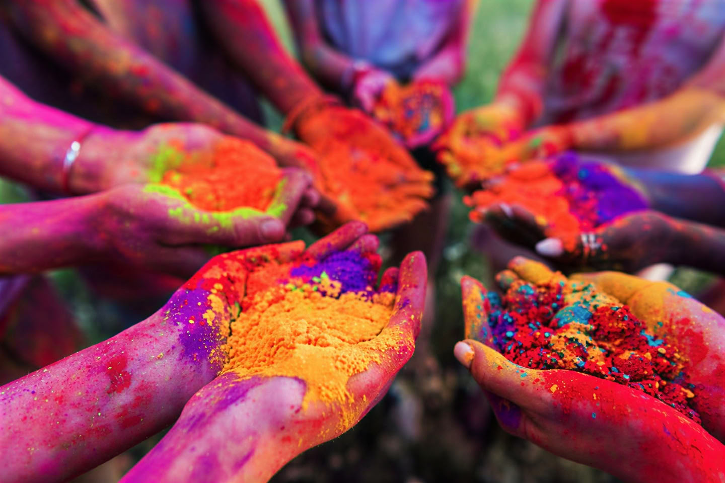 'Spirit of the Himalayas' Tour + Holi-Festival in Indien