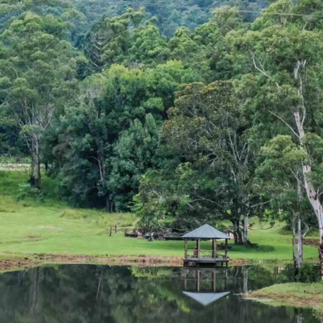 YTT-Immersions-Retreat