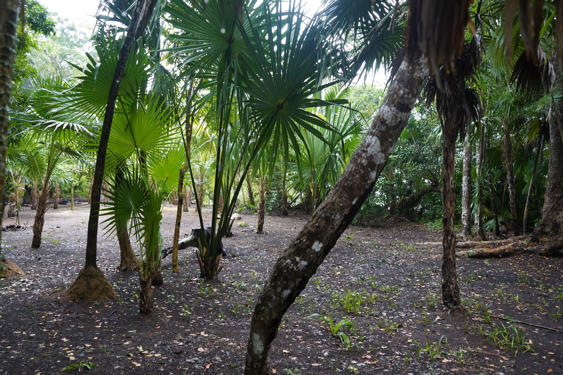 Integrationstour zu einer privaten Cenote