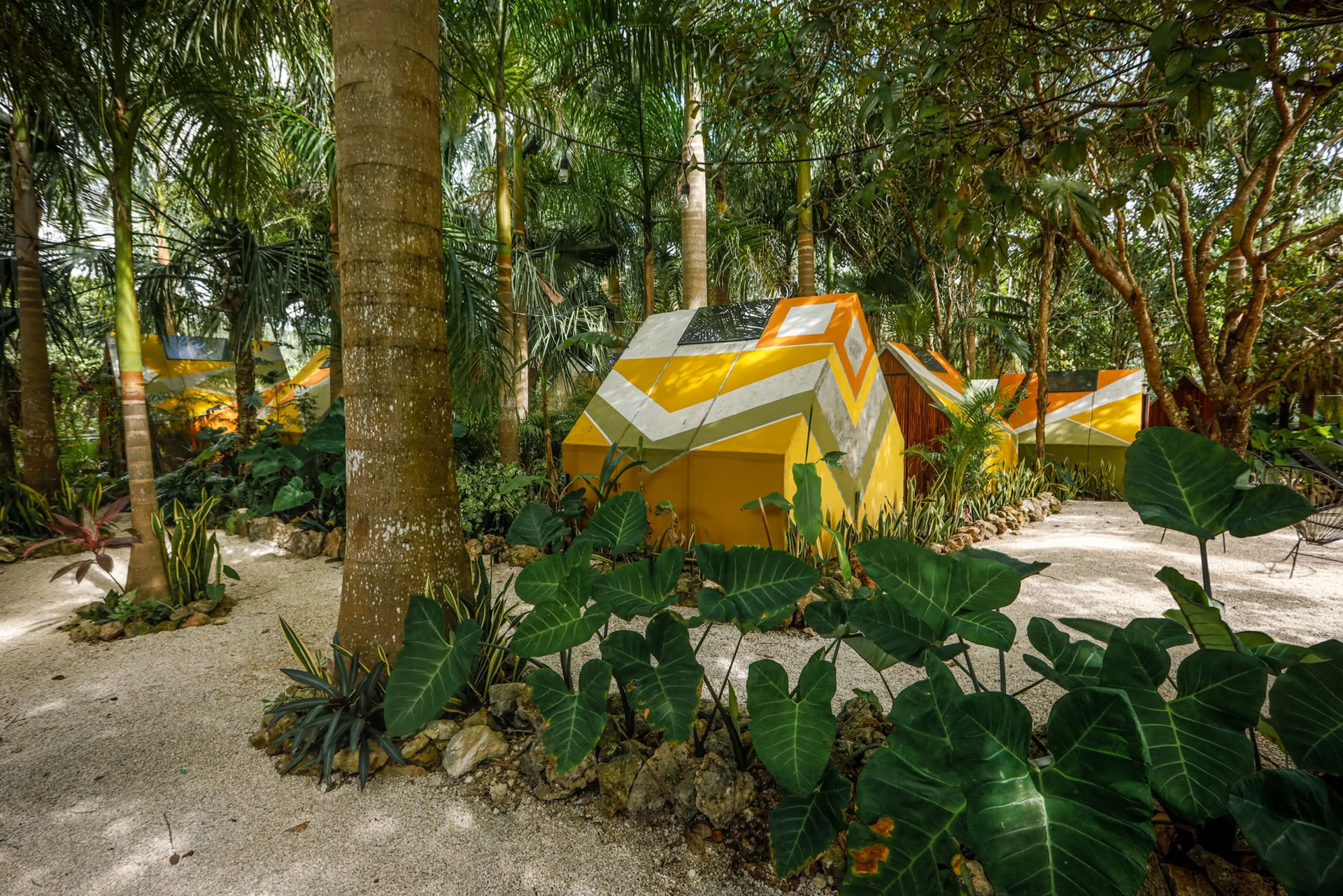 Bufo lagoon retreat - Erntemond