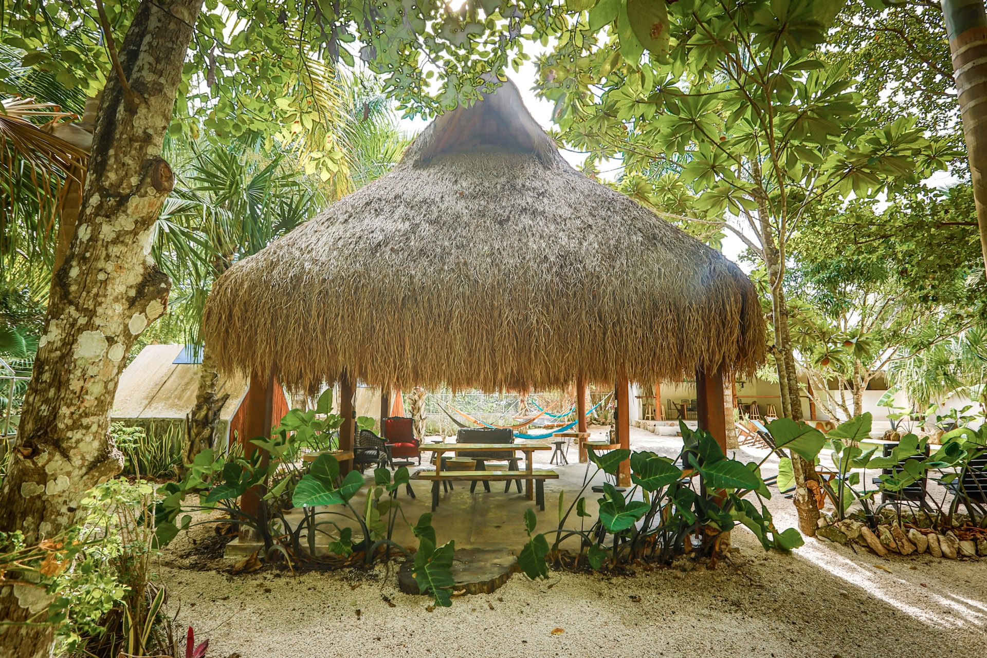 Bufo lagoon retreat - Erntemond