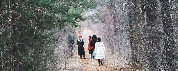 Heal the Healers Winter-Heilungsretreat