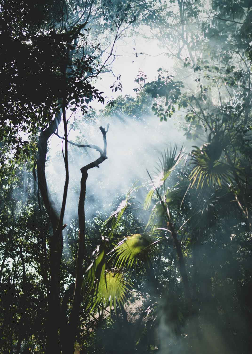 Sacred Flow Retreat – 9. - 16. Januar 2027