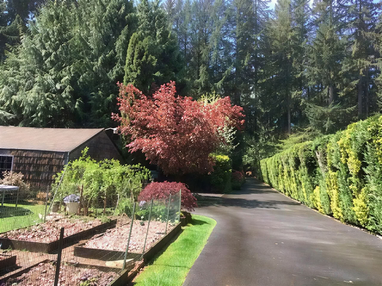 Cottage Lake Bed and Breakfast Spirituelles Retreat